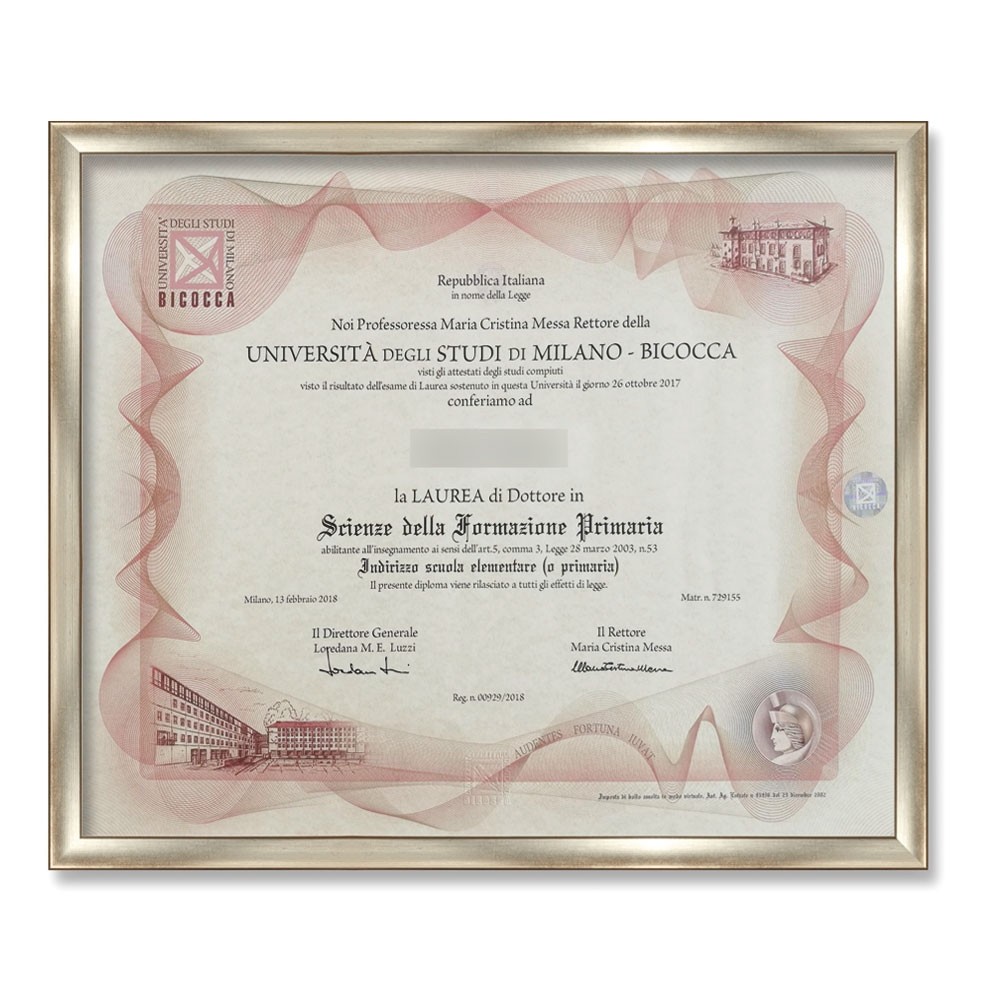 Cornice liscia per diplomi argento-32x45 cm 454-arg-sp-32x45 cm