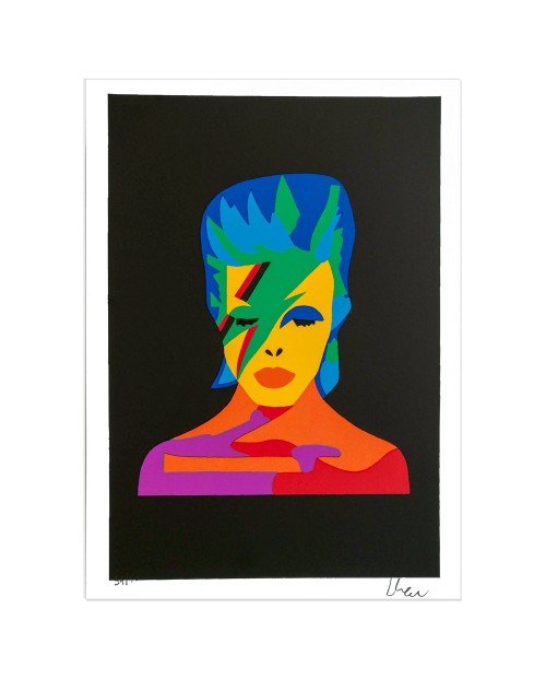 David Bowie - 25x35 cm - serigrafia