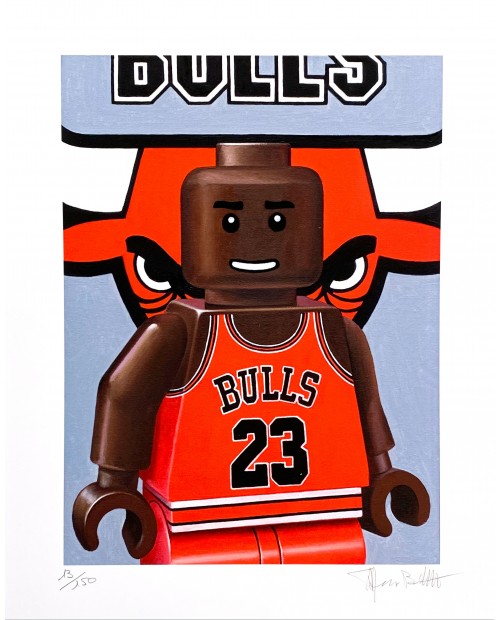Stefano Bolcato MICHAEL JORDAN 30x37 cm 
